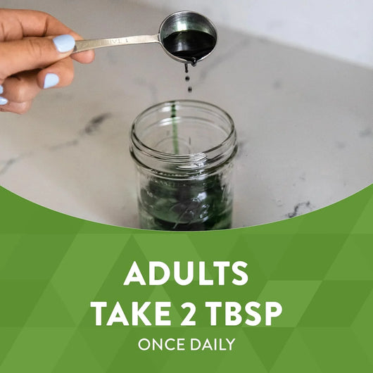 شراب كلوروفيل مكمل غذائي سائل بنكهة النعناع من نيتشرز واي – 480 مل by Nature's Way